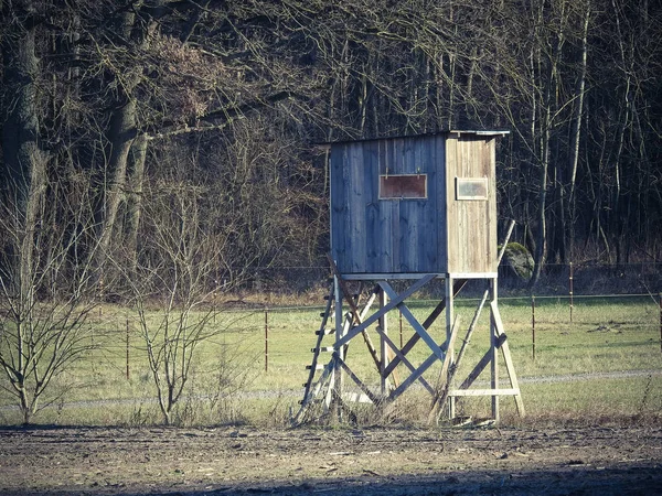 Vodorovný Záběr Dřevěné Rozhledny Lese — Stock fotografie