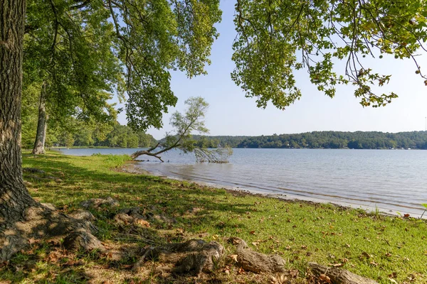美国阿肯色州一个湖泊的美丽景色 — 图库照片