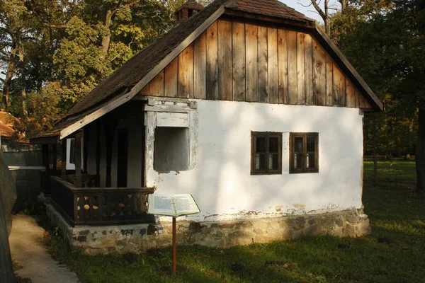 Una Casa Estiva Legno Bianco Circondata Alberi Parco — Foto Stock
