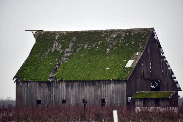 农场里有一个长满青苔的屋顶的旧木制谷仓 — 图库照片