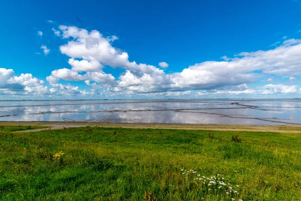 Låg Vinkel Skott Flod Och Gräsmark Molnig Dag — Stockfoto