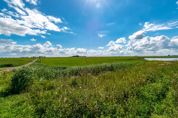 Ein Flacher Blick Auf Grasland Einem Bewölkten Tag — Stockfoto