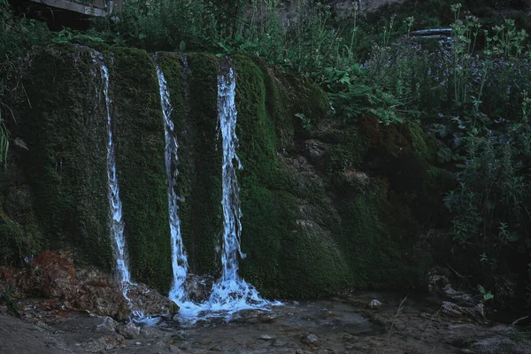 Bela Cachoeira Fluindo Para Riacho Cercado Por Verdes — Fotografia de Stock