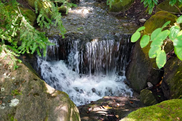 Belo Tiro Uma Cachoeira — Fotografia de Stock