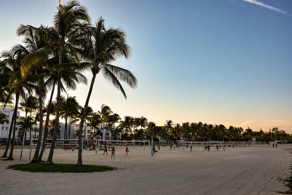 Piękny Widok Palm Piaszczystej Plaży Przed Zachodem Słońca Niebo — Zdjęcie stockowe