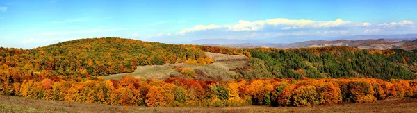 Panoramic Shot Hills Forests Autumn — Stock Photo, Image