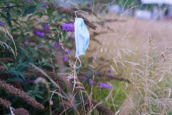 Een Beschermend Gezichtsmasker Hangend Een Butterfly Bush — Stockfoto