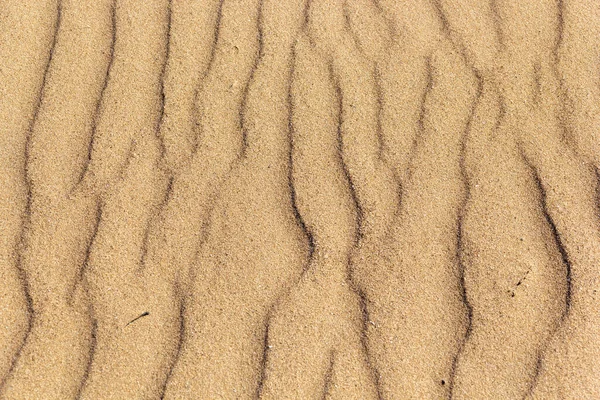 Wysokie Ujęcie Kąta Szorstkiego Złotego Piasku Plaży Tekstura — Zdjęcie stockowe