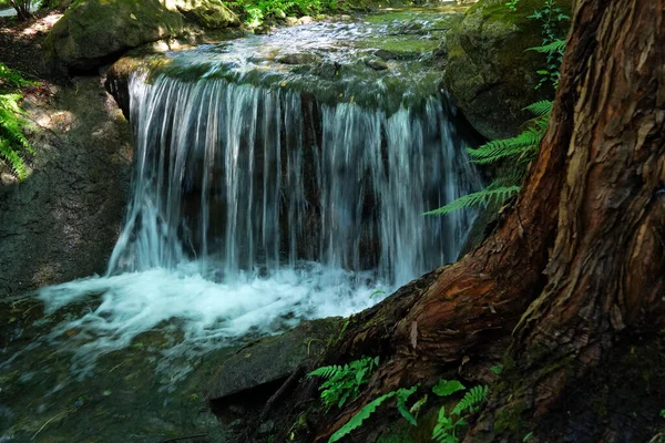 Belo Tiro Uma Cachoeira — Fotografia de Stock