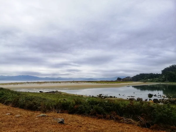 西班牙西沙群岛海滩上的植物景观 — 图库照片