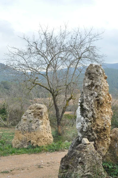 Uno Scenario Soleggiato Grandi Rocce Campo Autunnale — Foto Stock