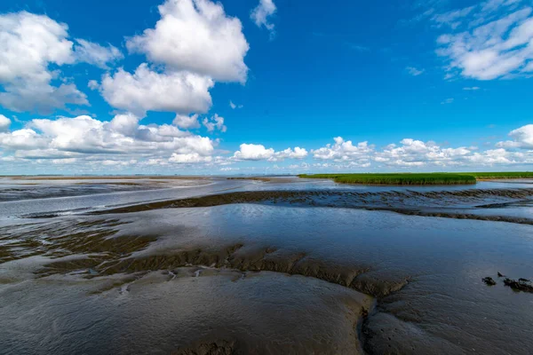 Närbild Lerig Flod Molnig Dag — Stockfoto