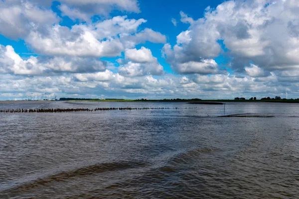 Beau Cliché Eau Brune Sous Ciel Bleu Vif — Photo