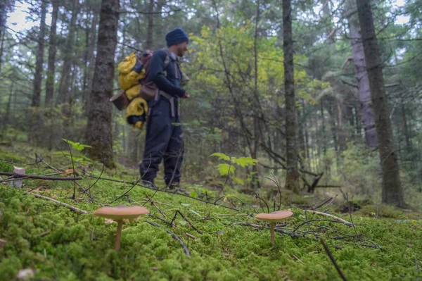 Groupe Champignons Dans Les Bois Sur Fond Mâle Avec Sac — Photo