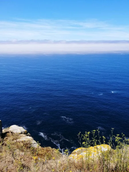 スペインのCies Islandsに植物があるビーチの垂直風景 — ストック写真