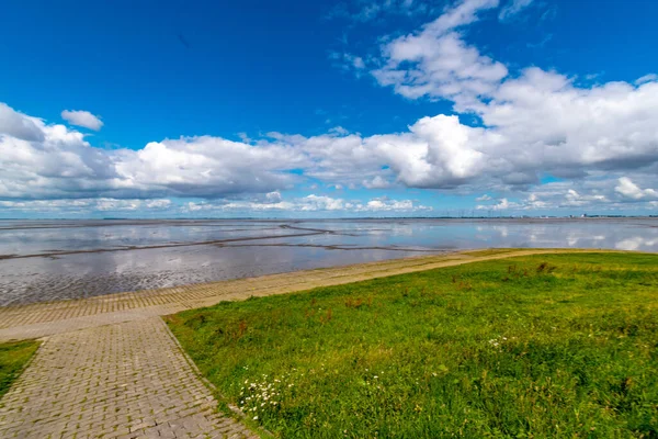 Een Prachtige Opname Van Modderig Bruin Water Buurt Van Een — Stockfoto