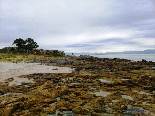 西班牙Cies群岛海滩上植物的风景照片 — 图库照片