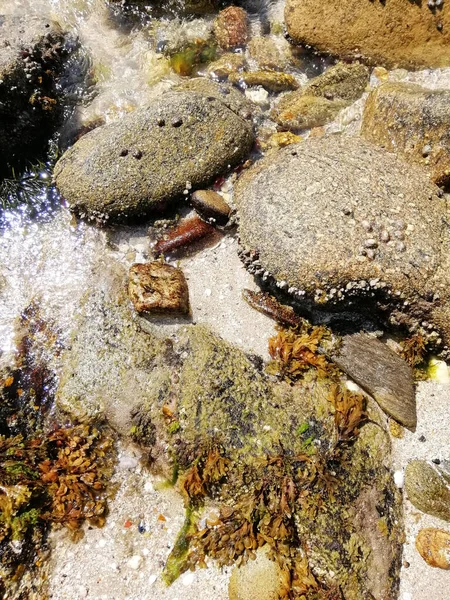 Beautiful View Rocky Seashore Galicia Spain — Stock Photo, Image