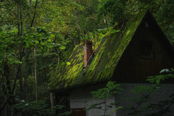 森の中の家のクローズアップ — ストック写真
