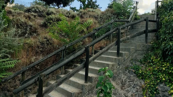 자연에 울타리가 콘크리트 계단이 공중에서 — 스톡 사진