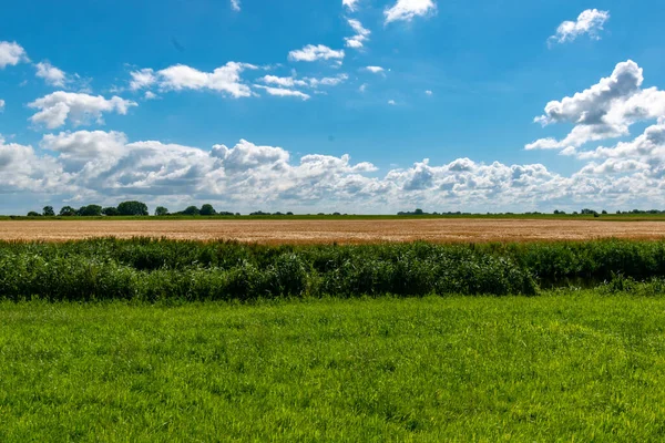 Een Lage Hoek Shot Van Grasland Een Bewolkte Dag — Stockfoto