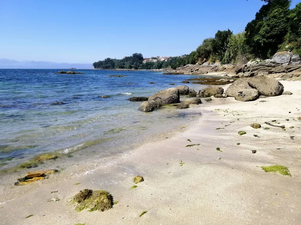 Ett Landskapsfoto Växter Stranden Galicien Spanien — Stockfoto