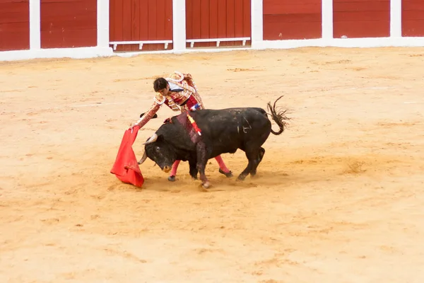 Plasencia Spagna Giugno 2015 Corrida Del Matador Miguel Angel Perera — Foto Stock