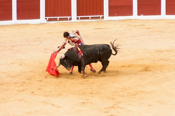 Plasencia Španělsko Června 2015 Býčí Zápas Matadora Miguela Angela Perery — Stock fotografie