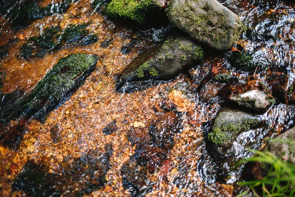 Horní Pohled Část Řeky Main Názvem White Main Nachází Fichtelgebirge — Stock fotografie