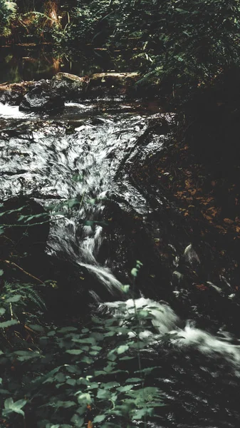 Красивый Темно Зеленый Вертикальный Снимок Воды Текущей Форе Идеально Подходит — стоковое фото