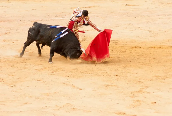 Plasencia Spagna Giugno 2015 Corrida Del Matador Miguel Angel Perera — Foto Stock
