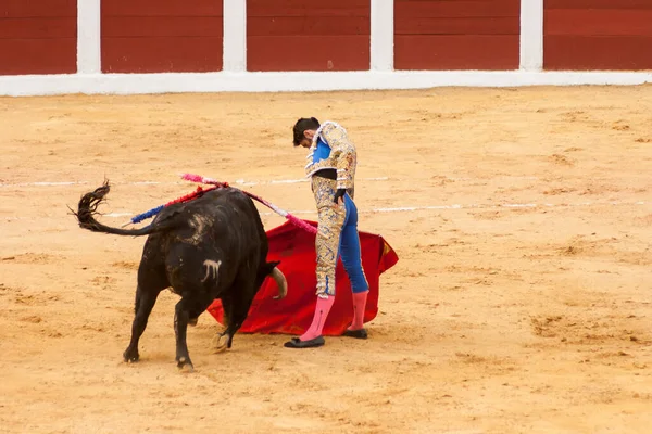 Plasenc Spanien Juni 2015 Matador Alejandro Talavantes Tjurfäktning Plaza Toros — Stockfoto