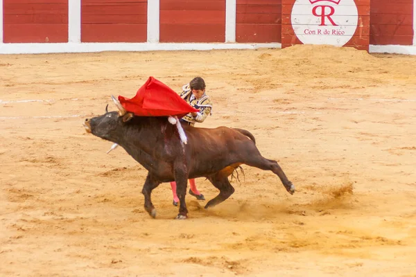 Plasencia Ισπανια Ιουν 2015 Ταυρομαχία Του Ταυρομάχου Sebastian Castella Στην — Φωτογραφία Αρχείου