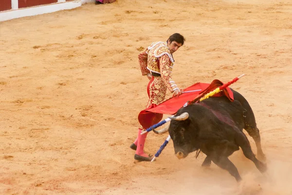 Plasencia Ισπανια Ιούνιος 2015 Ταυρομαχία Του Ταυρομάχου Miguel Angel Perera — Φωτογραφία Αρχείου