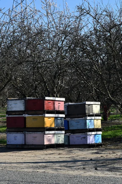 Colpo Verticale Alveari Colorati Impilati Uno Sopra Altro — Foto Stock