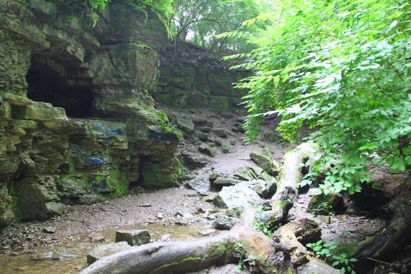 Крупним Планом Знімок Струмка Води Лісі Вдень — стокове фото