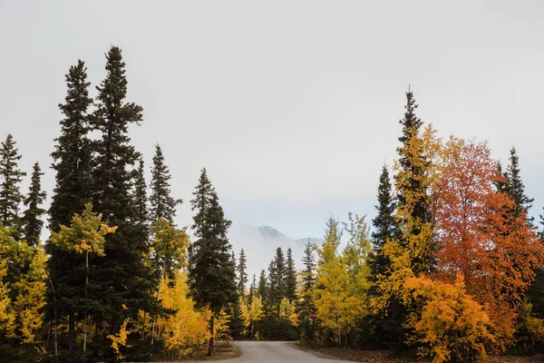 アラスカの山の中の秋の風景 — ストック写真