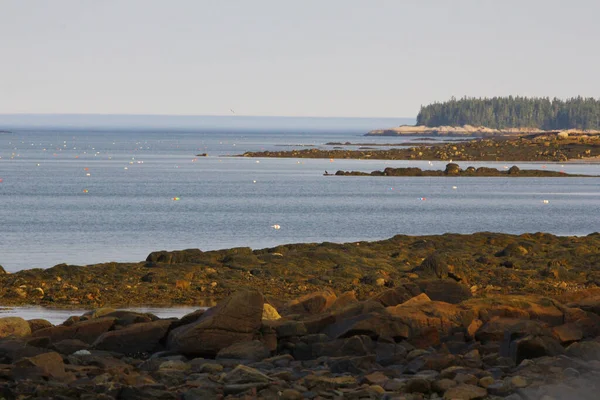 Beautiful View Gouldsboro Bay Maine — Stock Photo, Image