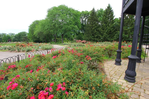 Gran Parque Con Coloridas Flores Árboles — Foto de Stock