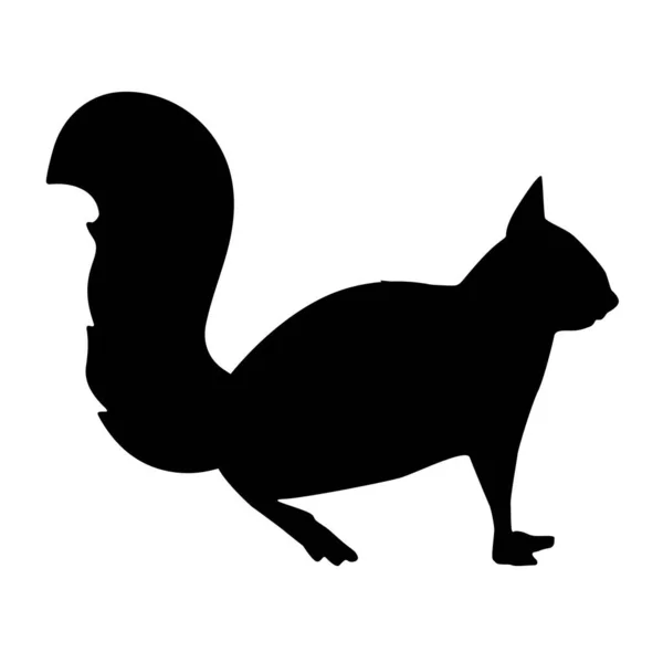 Eine Digitale Illustration Eines Eichhörnchen Schwarzen Silhouette Symbol Auf Weißem — Stockfoto