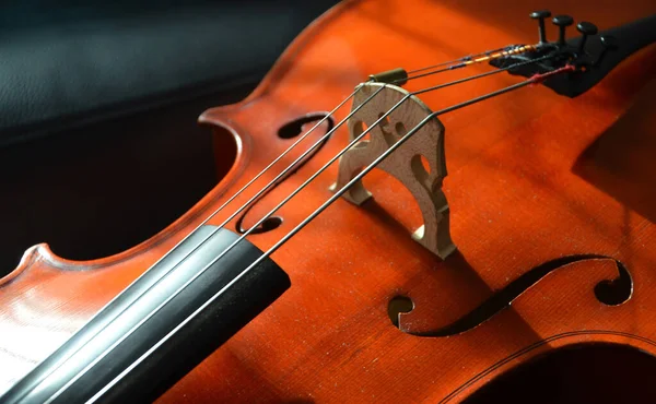 Representación Hermoso Violín Aislado Sobre Fondo Negro —  Fotos de Stock