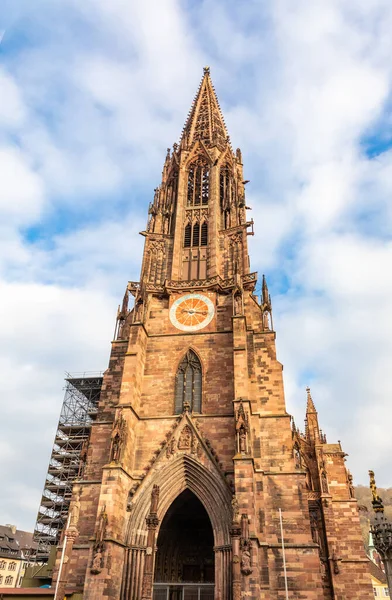 Vertikalt Bilde Katedralen Freiburger Munster – stockfoto