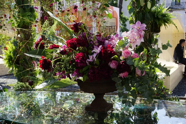 Vazodaki Farklı Güzel Çiçeklerin Yakın Çekimi — Stok fotoğraf