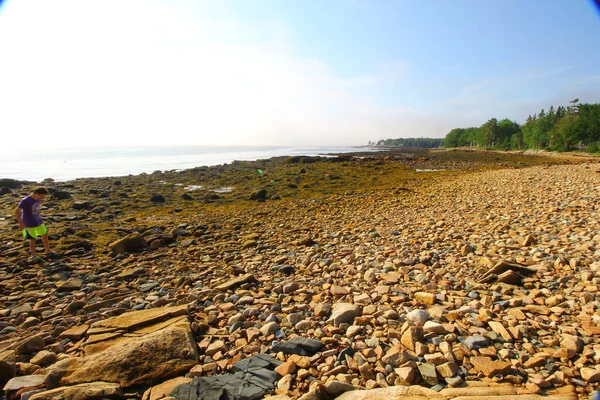 Den Klippiga Stranden Vid Gouldsboro Bay Maine Usa — Stockfoto