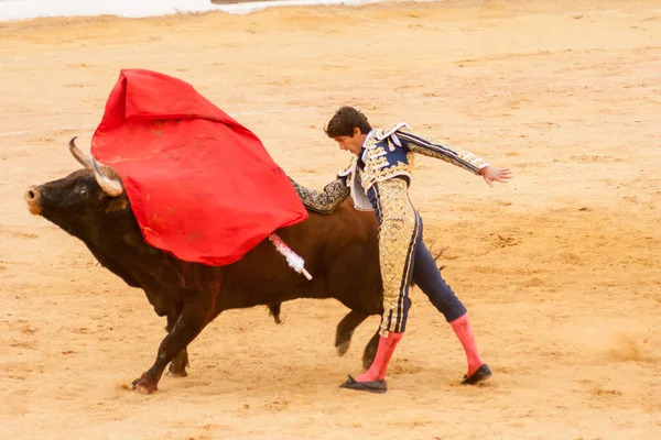 Plasencia Spain Jun 2015 Bullfight Matador Sebastian Castella Plaza Toros — стокове фото