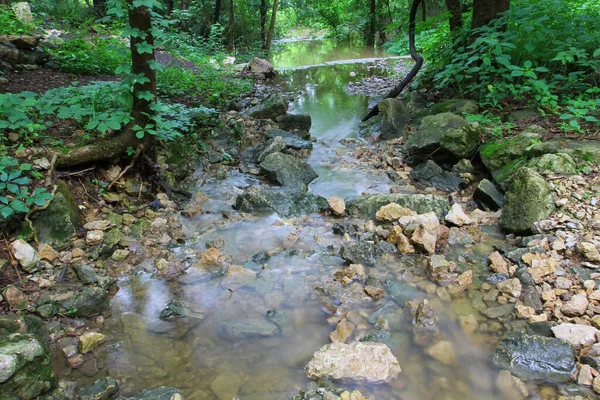 Nahaufnahme Eines Fließenden Wasserbaches Wald Bei Tag — Stockfoto