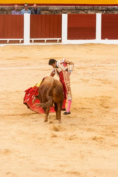 Plasencia Ισπανια Ιούνιος 2015 Ταυρομαχία Του Ταυρομάχου Miguel Angel Perera — Φωτογραφία Αρχείου