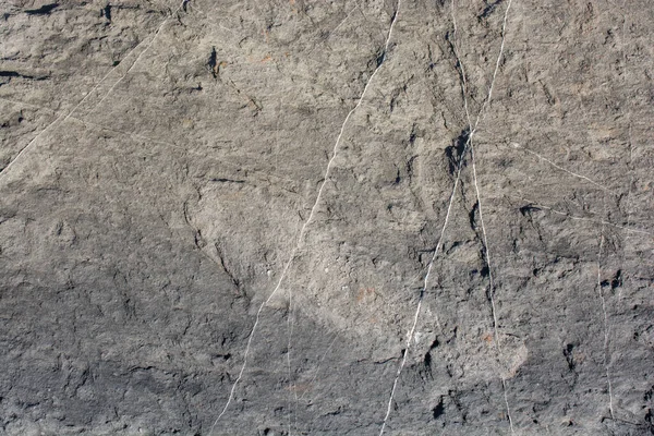 Closeup Shot Gray Stone Textural Details — Stock Photo, Image