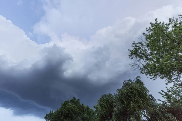 Eine Flache Aufnahme Von Bäumen Vor Wolkenverhangenem Himmel — Stockfoto