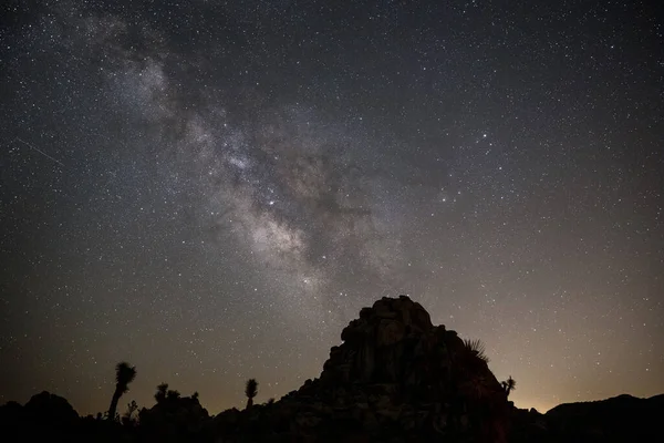 Una Hermosa Toma Árbol Joshua Noche Parque Nacional California — Foto de Stock